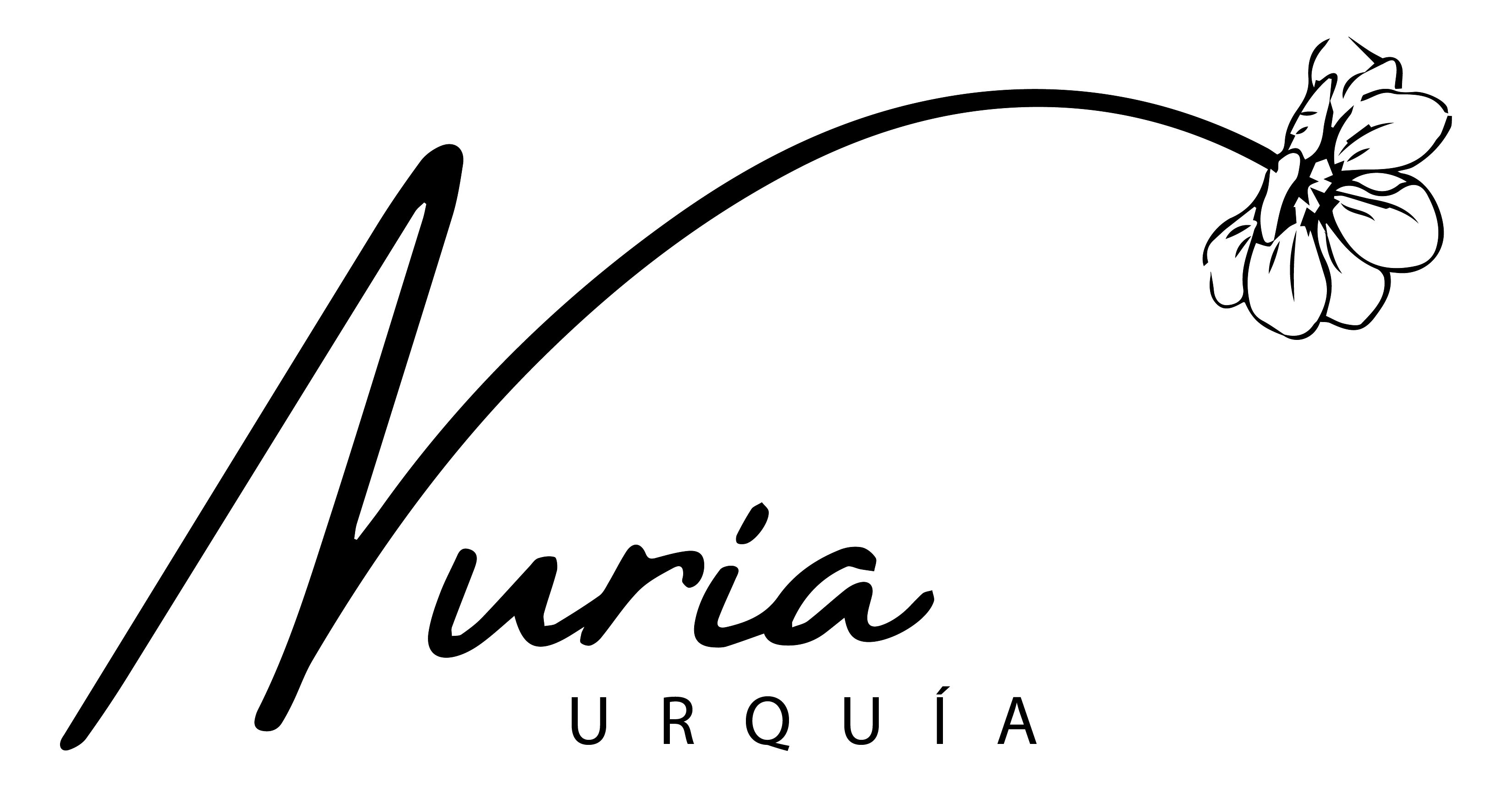 firma nuria Mesa de trabajo 1